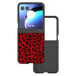 For Motorola Razr 50 ABEEL Black Edge Leopard Phone Case(Red Leopard)