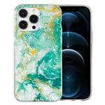 For iPhone 12 Pro Max IMD Shell Pattern TPU Phone Case(Green Marble)