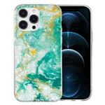 For iPhone 12 Pro IMD Shell Pattern TPU Phone Case(Green Marble)