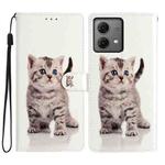 For Motorola Moto G84 5G Colored Drawing Leather Phone Case(Little Tabby Cat)