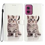 For Motorola Moto G55 Colored Drawing Leather Phone Case(Little Tabby Cat)