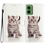 For Motorola Moto G35 Colored Drawing Leather Phone Case(Little Tabby Cat)