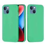 For iPhone 15 Solid Color Silicone Phone Case(Green)