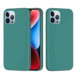 For iPhone 15 Pro Max Solid Color Silicone Phone Case(Pine Needle Green)