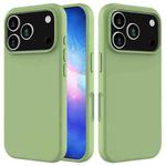 For iPhone 17 Pro Solid Color Silicone Phone Case(Mint Green)