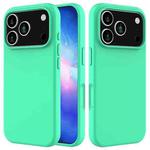 For iPhone 17 Pro Solid Color Silicone Phone Case(Green)