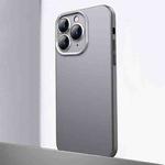 For iPhone 11 Pro Frosted Metal Material Phone Case with Lens Protection(Grey)