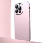 For iPhone 12 Pro Frosted Metal Material Phone Case with Lens Protection(Pink)