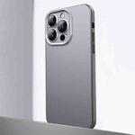 For iPhone 12 Pro Frosted Metal Material Phone Case with Lens Protection(Grey)