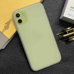 For iPhone 11 Shockproof Frosted TPU Transparent Protective Case(Grey)