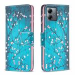 For Motorola Moto G14 4G Colored Drawing Pattern Leather Phone Case(Plum Blossom)