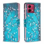 For Motorola Moto G84 5G Colored Drawing Pattern Leather Phone Case(Plum Blossom)