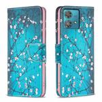 For Motorola Edge 40 Neo Colored Drawing Pattern Leather Phone Case(Plum Blossom)