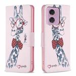 For Motorola Moto G24 Colored Drawing Pattern Leather Phone Case(Giraffe)