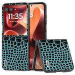 For Motorola Razr 60 Ultra ABEEL Genuine Leather Crocodile Pattern Black Edge Phone Case(Blue)