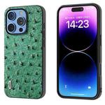 For iPhone 16 Pro Max ABEEL Genuine Leather Ostrich Texture Phone Case(Green)