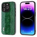 For iPhone 15 Pro Max ABEEL Genuine Leather Weilai Series Phone Case(Green)