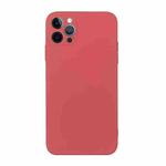 For iPhone 15 Pro Max Straight Edge Solid Color TPU Shockproof Phone Case(Hawthorn Red)
