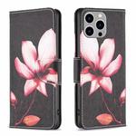 For iPhone 15 Pro Max Colored Drawing Pattern Flip Leather Phone Case(Lotus)