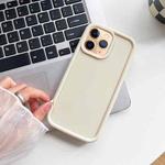 For iPhone 11 Pro Shockproof Frame Frosted TPU Phone Case(Beige)