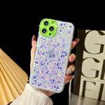 For iPhone 12 Pro Luminous Epoxy TPU Glitter Phone Case(Purple)