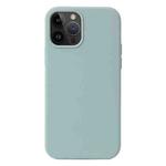 For iPhone 15 Pro Max Liquid Silicone Phone Case(Emerald Green)