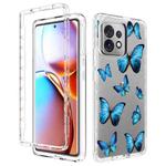 For Motorola Edge+ 2023 Transparent Painted Phone Case(Blue Butterflies)