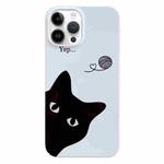 For iPhone 14 Pro Max Painted Pattern PC Phone Case(Black Cat)