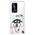 For Huawei P40 Pro+ Coloured Drawing Pattern Highly Transparent TPU Protective Case(Pinch Dog)