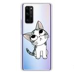 For Huawei Honor 30S Coloured Drawing Pattern Highly Transparent TPU Protective Case(Cat)