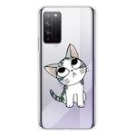 For Huawei Honor X10 Coloured Drawing Pattern Highly Transparent TPU Protective Case(Cat)