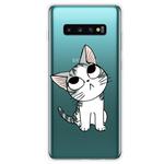 For Samsung Galaxy S10 5G Coloured Drawing Pattern Highly Transparent TPU Protective Case(Cat)