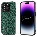 For iPhone 15 Pro ABEEL Genuine Leather Canopy Black Edge Phone Case(Green)