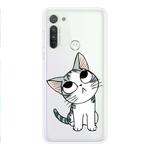 For Motorola G8 Coloured Drawing Pattern Highly Transparent TPU Protective Case(Cat)