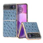 For Motorola Razr 40 Nano Plating Genuine Leather Ostrich Texture Phone Case(Blue)