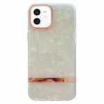 For iPhone 12 Electroplating Shell Texture TPU Phone Case(Colorful)