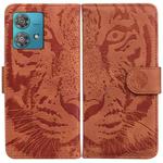 For Motorola Edge 40 Neo Tiger Embossing Pattern Leather Phone Case(Brown)