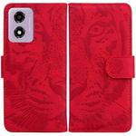 For Motorola Moto G04s / Moto E14 Tiger Embossing Pattern Leather Phone Case(Red)