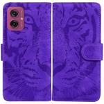 For Motorola Moto G55 Tiger Embossing Pattern Leather Phone Case(Purple)