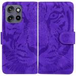 For Motorola Edge 50 Neo 5G Global Tiger Embossing Pattern Leather Phone Case(Purple)