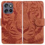 For Motorola Edge 50 Neo 5G Global Tiger Embossing Pattern Leather Phone Case(Brown)