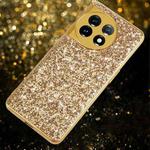 For OnePlus 11 Glitter Powder Shockproof TPU Phone Case(Gold)