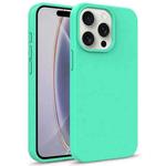 For iPhone 16 Pro Starry Series Shockproof Straw Material + TPU Protective Case(Green)