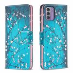 For Nokia G42 Colored Drawing Pattern Leather Phone Case(Plum Blossom)