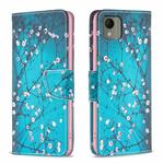 For Nokia C110 Colored Drawing Pattern Leather Phone Case(Plum Blossom)
