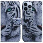 For iPhone 15 Pro Max Coloured Drawing Flip Leather Phone Case(Tiger)