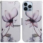 For iPhone 14 Pro Max Coloured Drawing Flip Leather Phone Case(Magnolia)