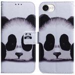 For iPhone SE 2024 Coloured Drawing Flip Leather Phone Case(Panda)