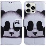 For iPhone 16 Pro Coloured Drawing Flip Leather Phone Case(Panda)