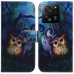 For Xiaomi 13T / 13T Pro / Redmi K60 Ultra Coloured Drawing Flip Leather Phone Case(Oil Painting Owl)